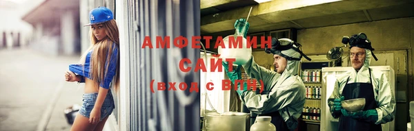 молекула духа Алексеевка