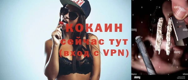стафф Алзамай
