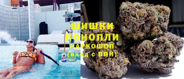 молекула духа Алексеевка