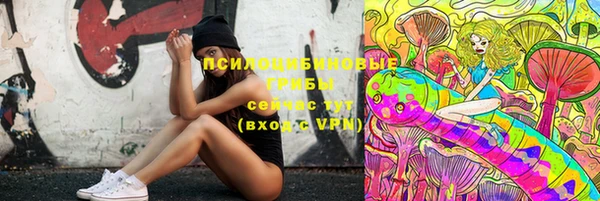 молекула духа Алексеевка