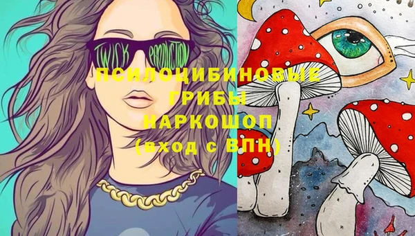 синтетический гашиш Алексин