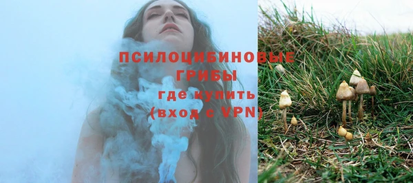 молекула духа Алексеевка