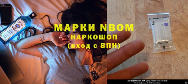 молекула духа Алексеевка
